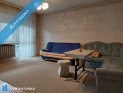 41232 - zdjęcie nr 3