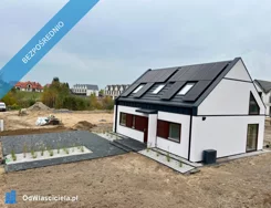 41574 - zdjęcie nr 1