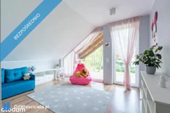 41087 - zdjęcie nr 3