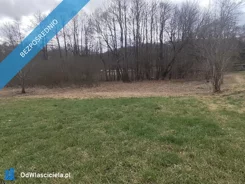 40919 - zdjęcie nr 3