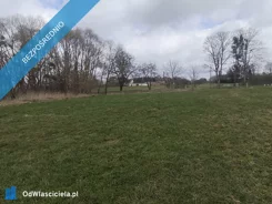 40919 - zdjęcie nr 4