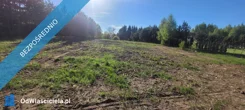 41233 - zdjęcie nr 4