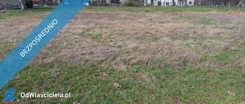 31243 - zdjęcie nr 2