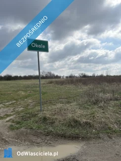 39744 - zdjęcie nr 1