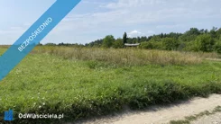 39744 - zdjęcie nr 4