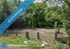 26808 - zdjęcie nr 3