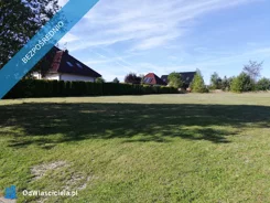 37647 - zdjęcie nr 4