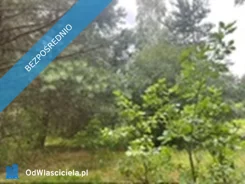 41184 - zdjęcie nr 1