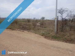 41287 - zdjęcie nr 1