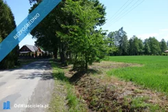 41499 - zdjęcie nr 4