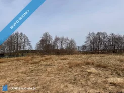 41061 - zdjęcie nr 0