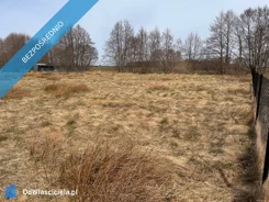 41061 - zdjęcie nr 3