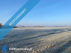 40077 - zdjęcie nr 1