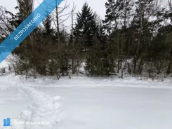 40695 - zdjęcie nr 1