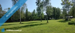 41339 - zdjęcie nr 2