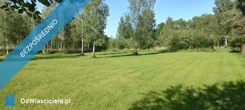 41339 - zdjęcie nr 3