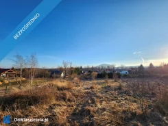 41117 - zdjęcie nr 2