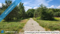 27024 - zdjęcie nr 4
