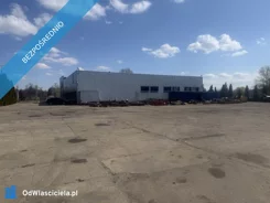 41213 - zdjęcie nr 4