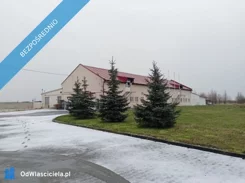 40735 - zdjęcie nr 2