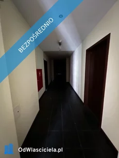 31141 - zdjęcie nr 2