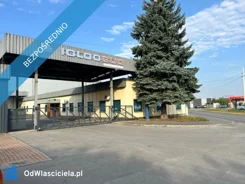 40485 - zdjęcie nr 1