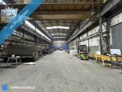 40485 - zdjęcie nr 3
