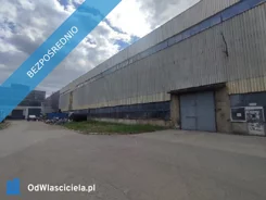 39659 - zdjęcie nr 2