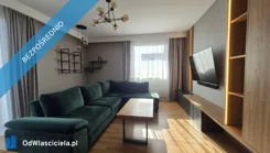 41223 - zdjęcie nr 1