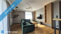 41223 - zdjęcie nr 2