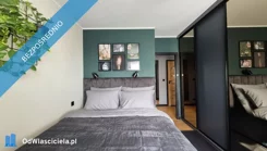 41223 - zdjęcie nr 4