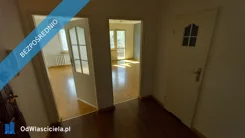 41222 - zdjęcie nr 3