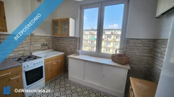41414 - zdjęcie nr 3