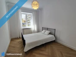 41093 - zdjęcie nr 2
