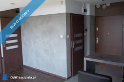 41410 - zdjęcie nr 3