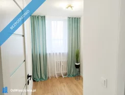 40528 - zdjęcie nr 3