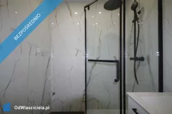 41247 - zdjęcie nr 1