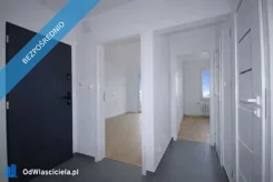 41247 - zdjęcie nr 4