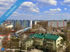 40907 - zdjęcie nr 2