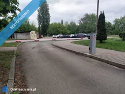 41530 - zdjęcie nr 0