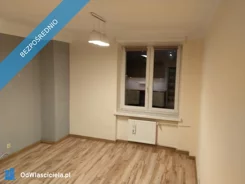 39392 - zdjęcie nr 2