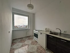 39912 - zdjęcie nr 3