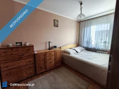 41112 - zdjęcie nr 0