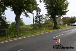 163190227 - zdjęcie nr 0