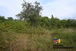 163190227 - zdjęcie nr 3