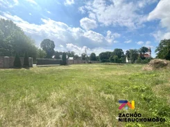 155930227 - zdjęcie nr 2