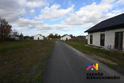 163690227 - zdjęcie nr 2