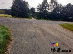 151980227 - zdjęcie nr 5