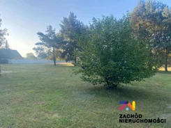 162860227 - zdjęcie nr 3