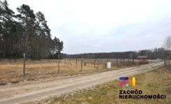 165580227 - zdjęcie nr 0